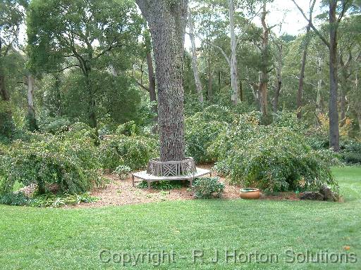 Tree Seat 